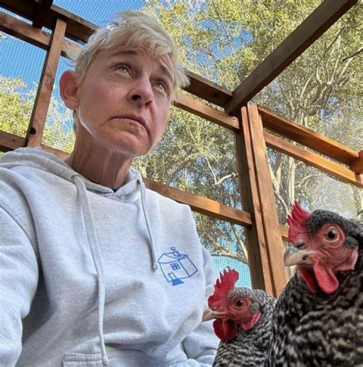 Liza Todd: A Comprehensive Look at Her Life and Career