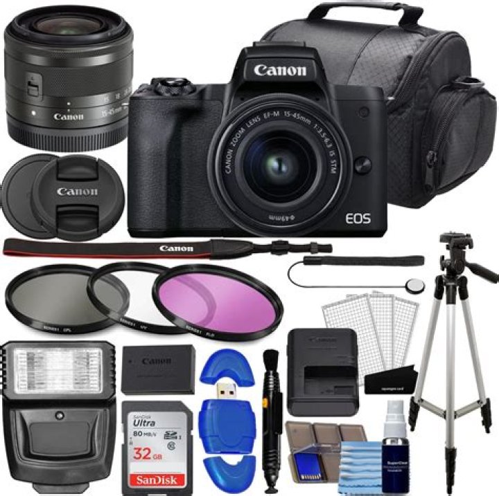 Nikki Cat Suresh Date: A Comprehensive Look at Her Life and Career