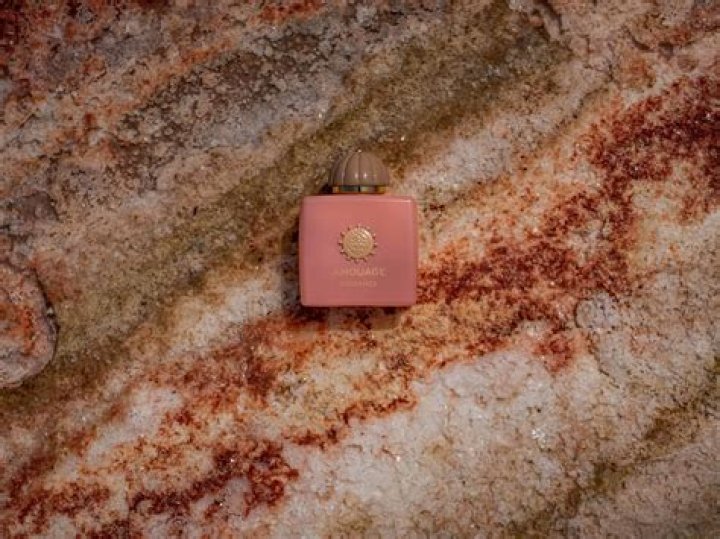 Pineapplebrat Leak Nudes: A Deep Dive into the Controversy