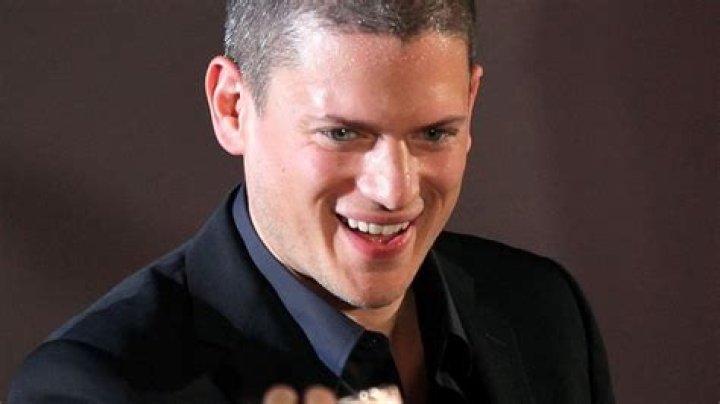 Wentworth Miller: Is He Gay?